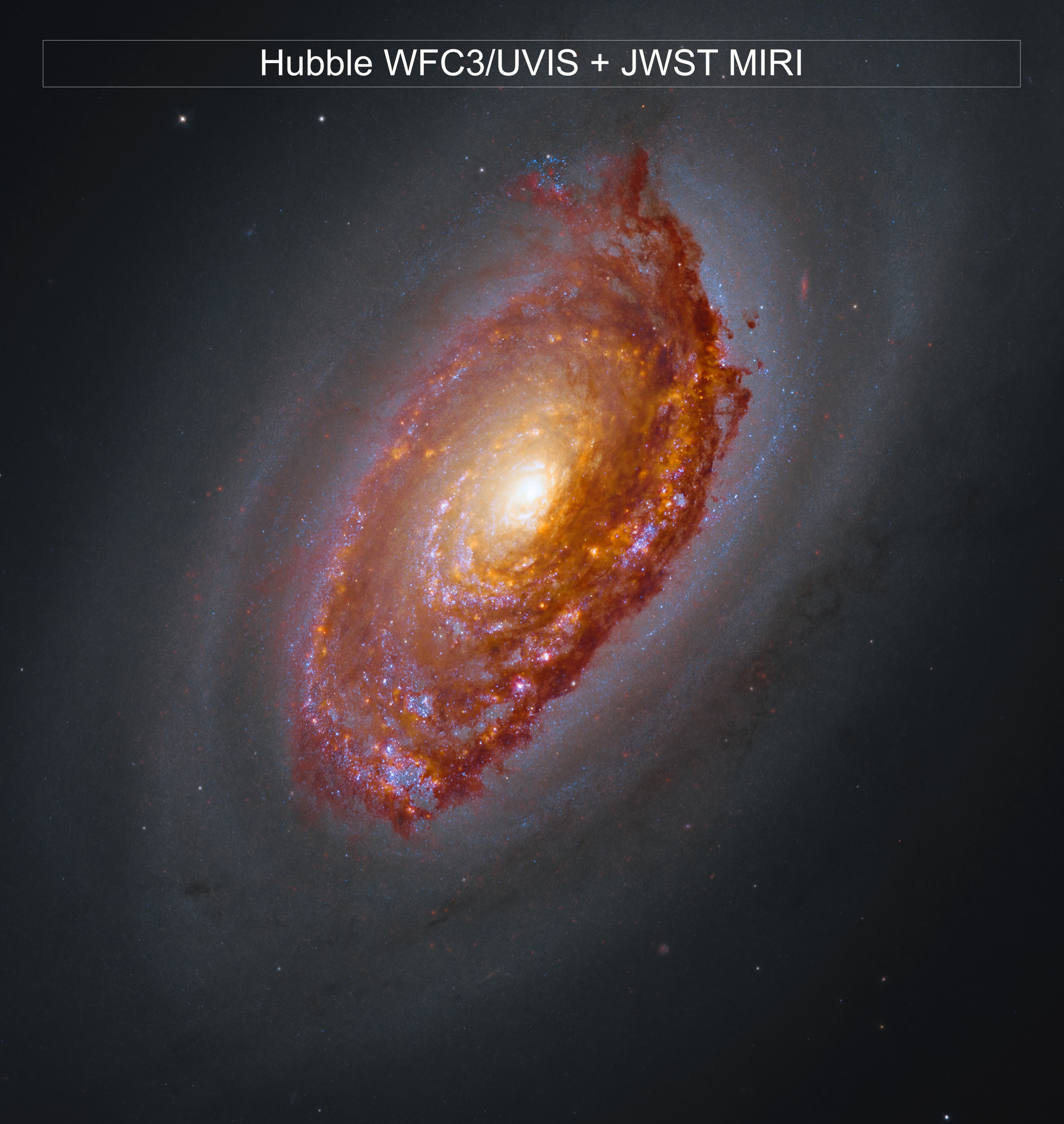Webbs Ansicht von M64